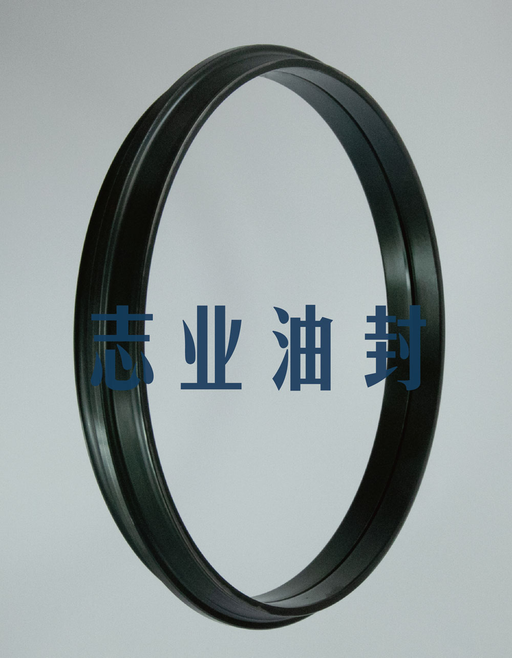 DO型浮動油封